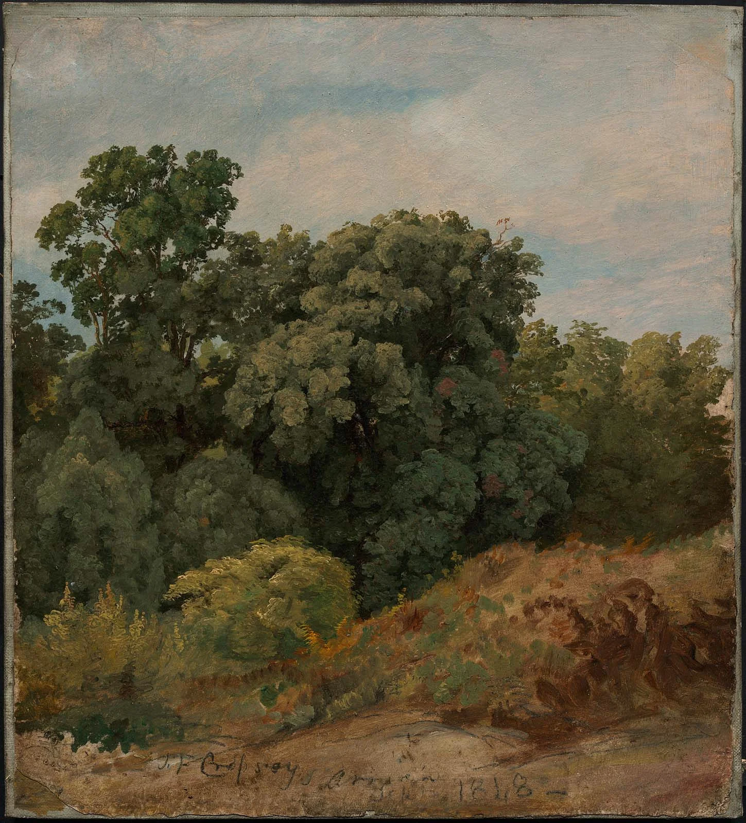 Study of a Clump of Trees