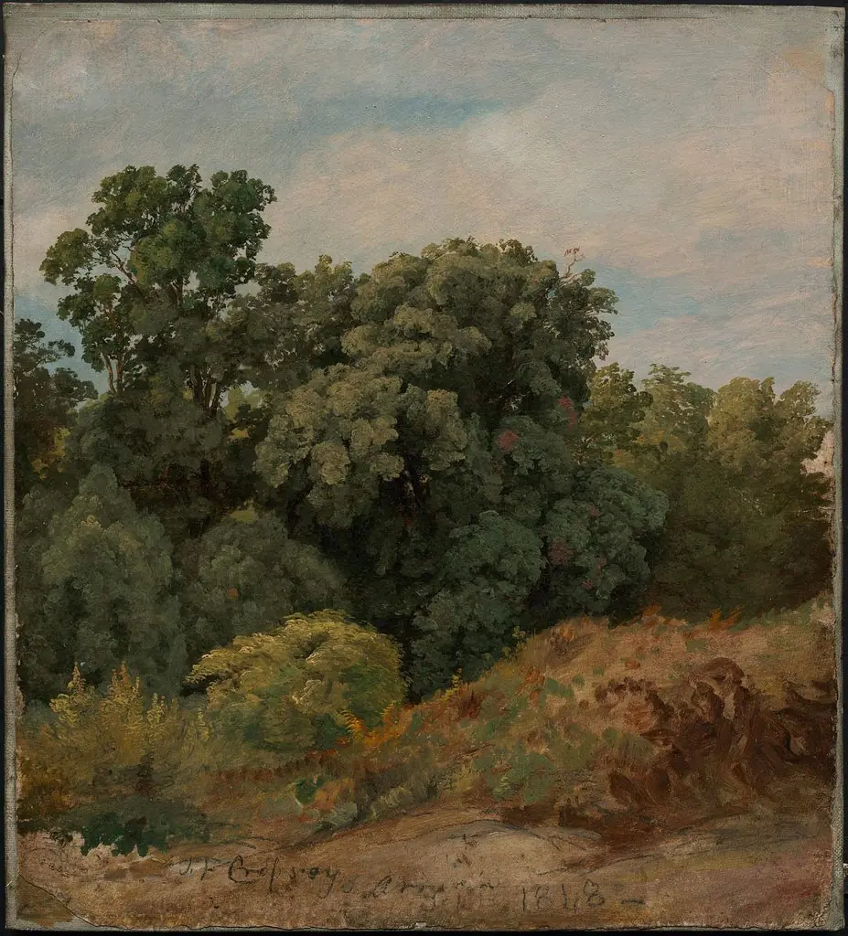 Study of a Clump of Trees