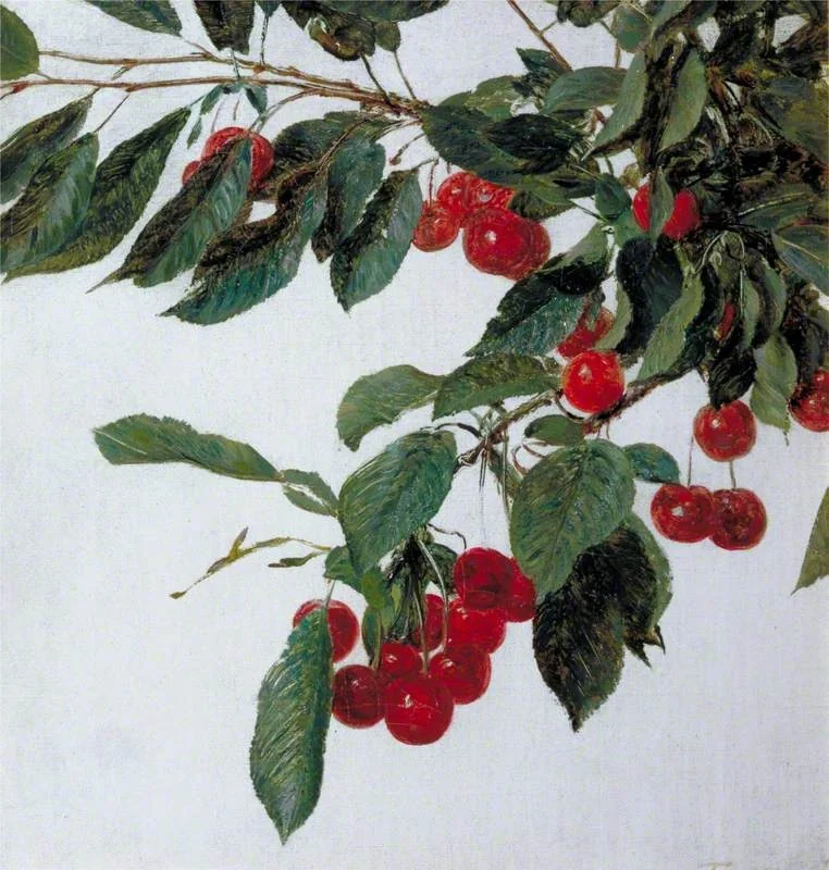Cherries
