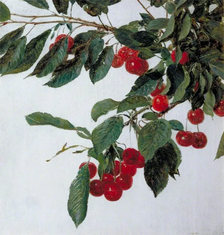 Cherries