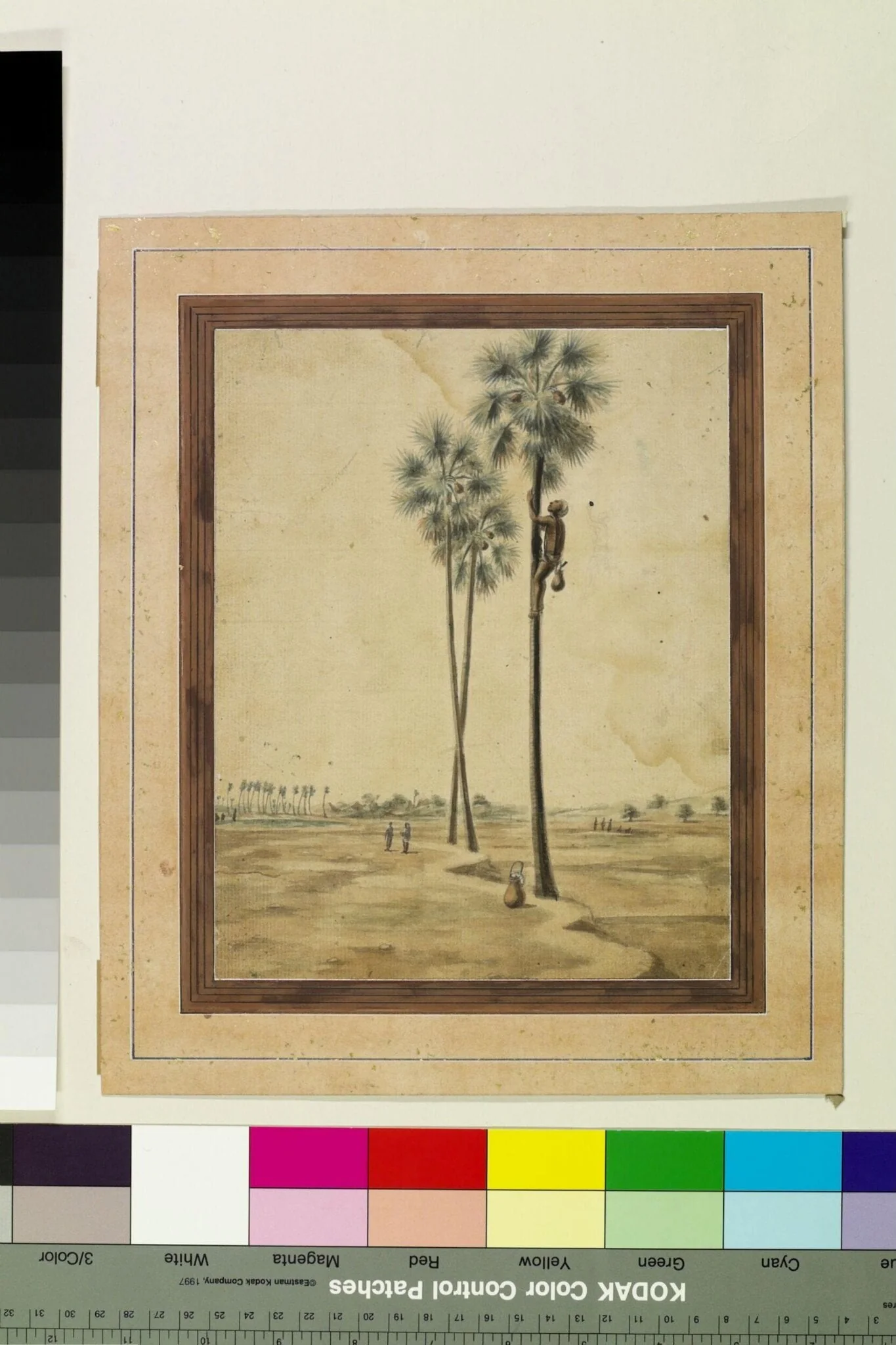 A toddy-tapper, by Sewak Ram, paint, 1805
