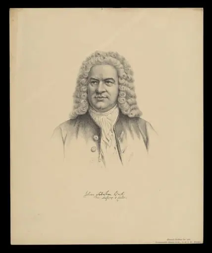 H Beard Print Collection