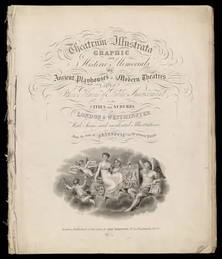 H Beard Print Collection