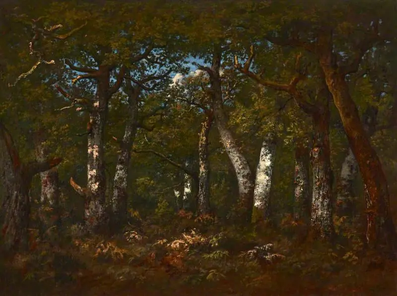 Sous Bois (L'Entrée du Dormoir)