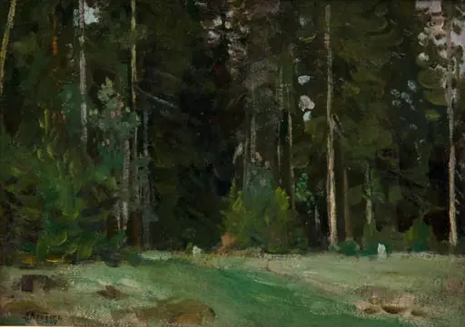 Metsä