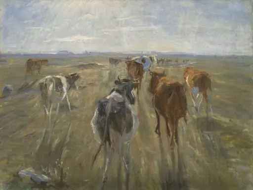 Long Shadows. Cattle on the Island of Saltholm