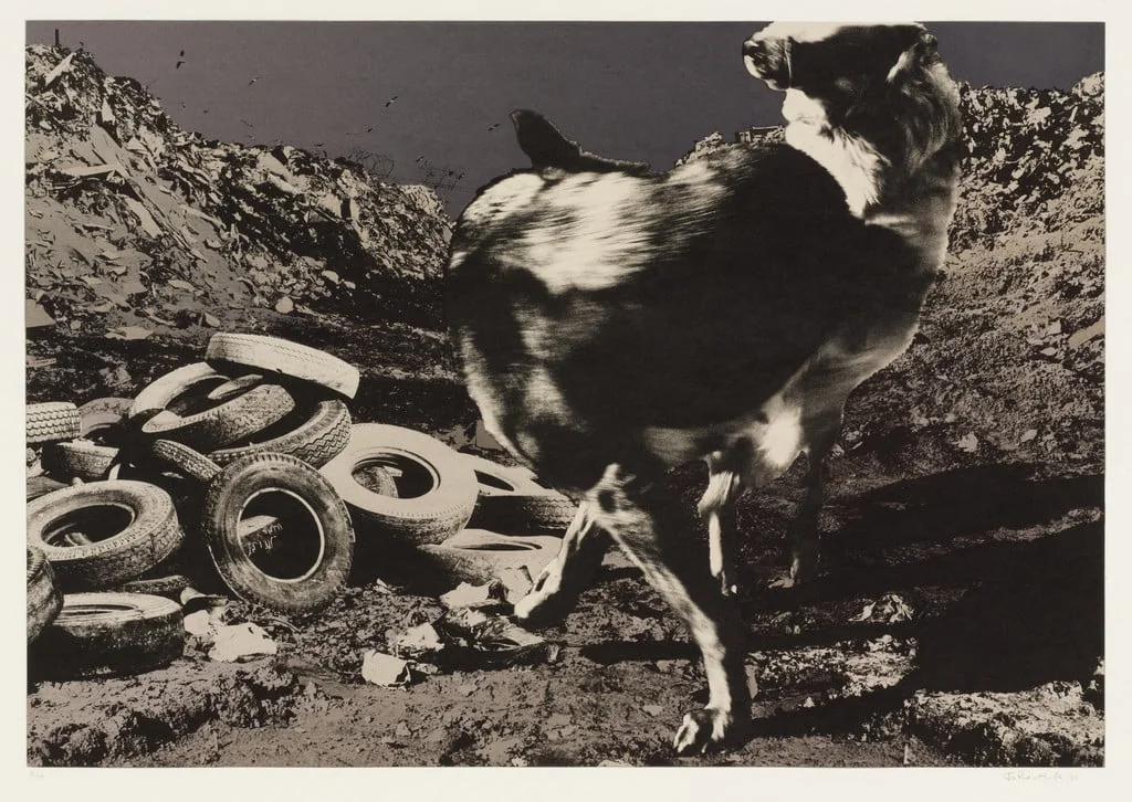 Untitled, by Jo Ractliffe, ink, 1988