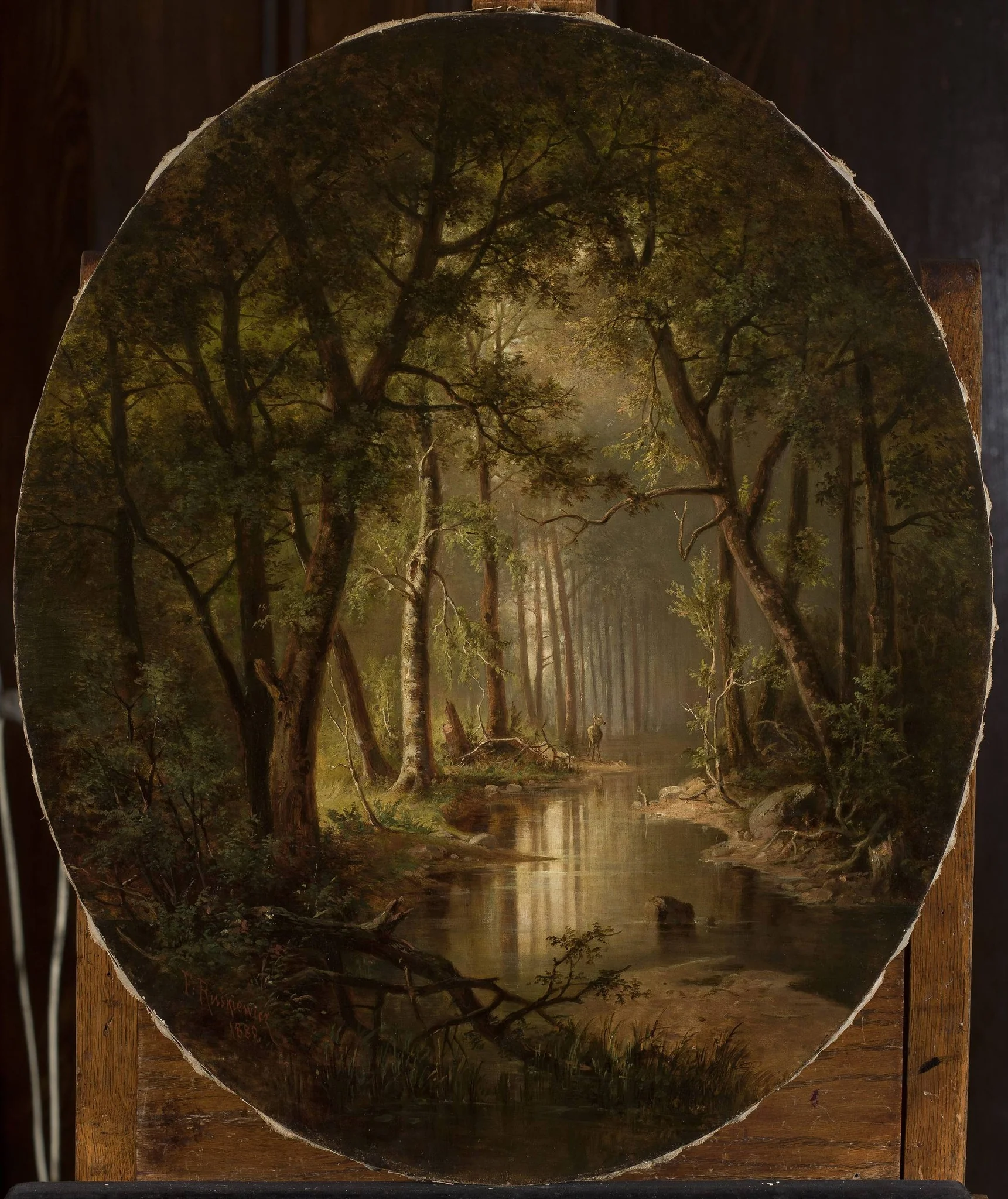 Stream in the forest