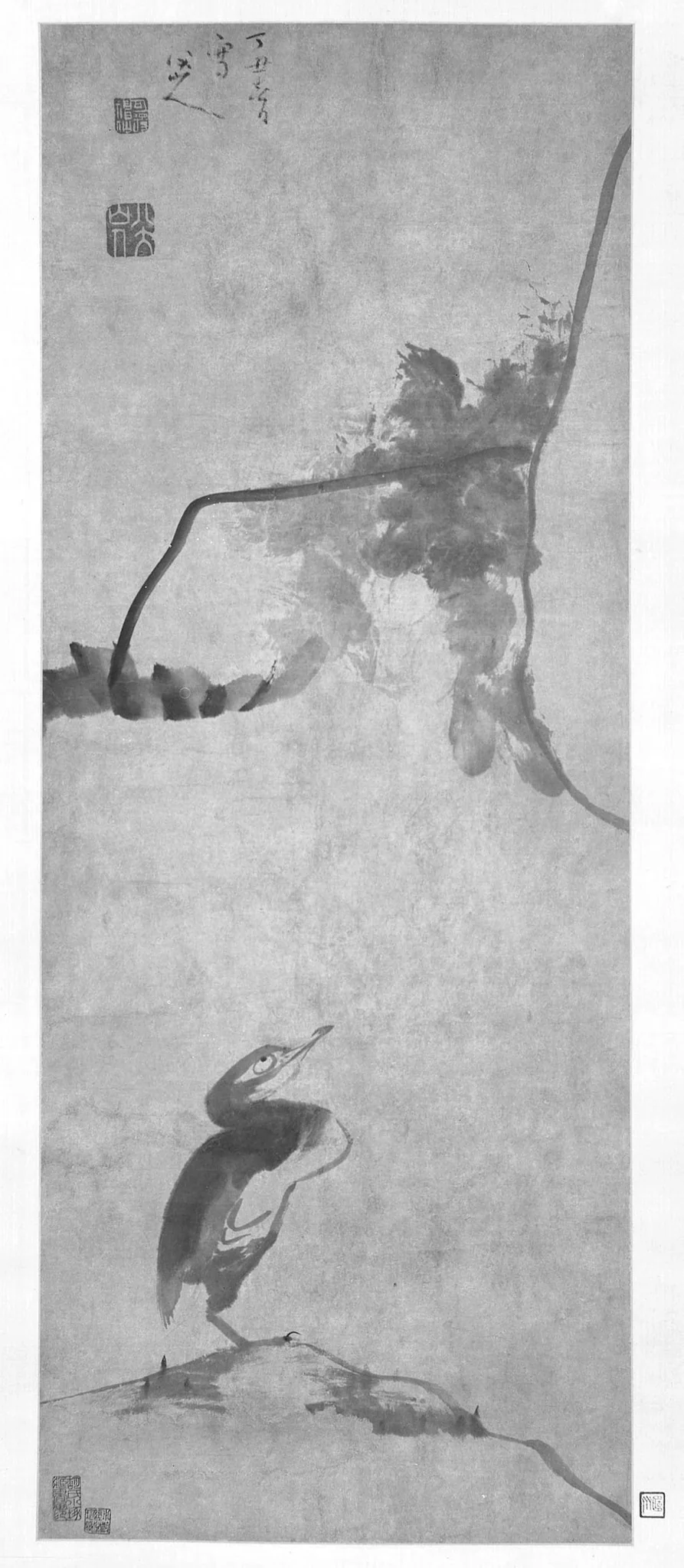 Lotus and Waterfowl, by Bada Shanren, unspecified, 1699