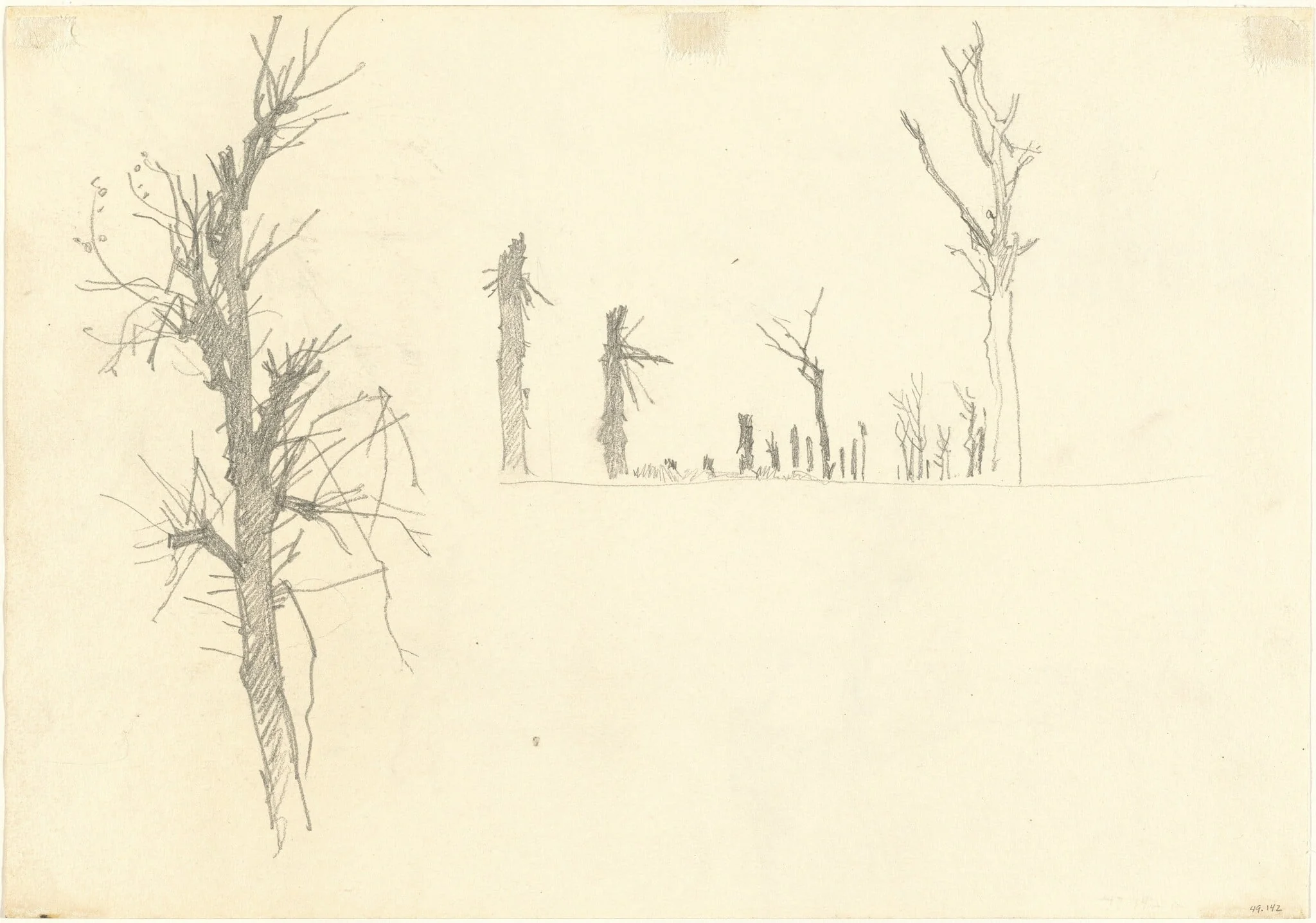 Devastated Trees [verso], by John Singer Sargent, graphite, 1918