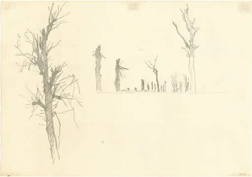 Devastated Trees [verso]