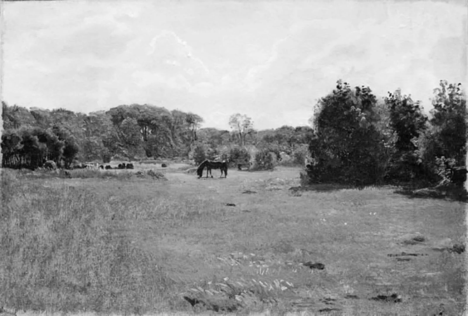 Meadow with a Black Horse Grazing, by Unknown, 1854
