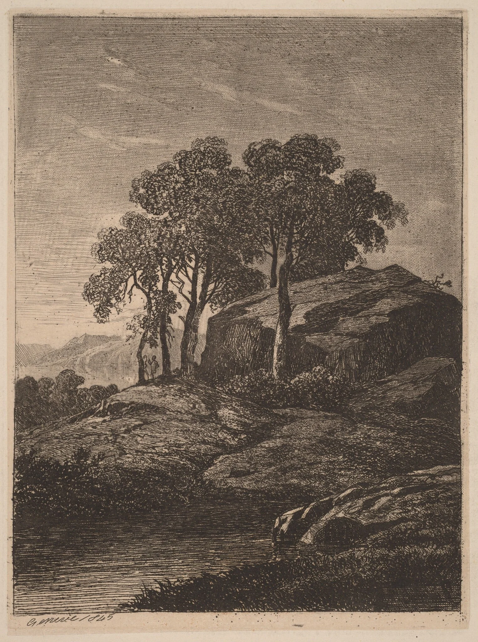 Trees by a Rock