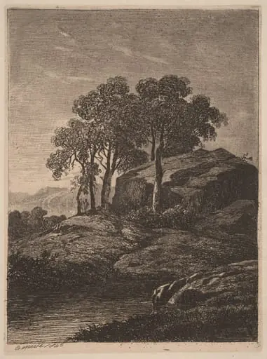 Trees by a Rock