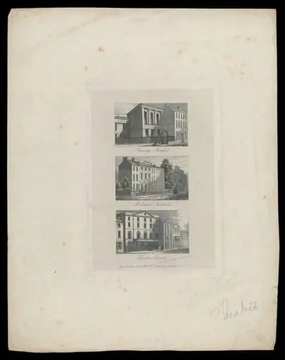 H Beard Print Collection