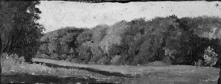 The Fringe of a Wood