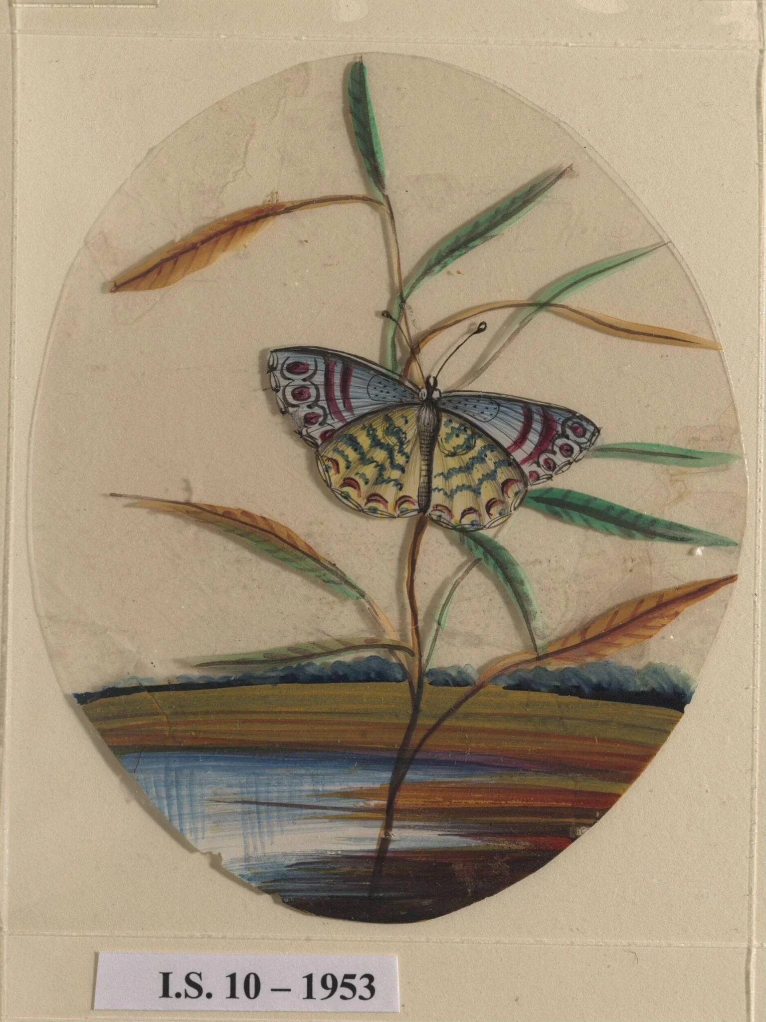 An unidentified butterfly on a leaf, by Unknown, paint, 1860