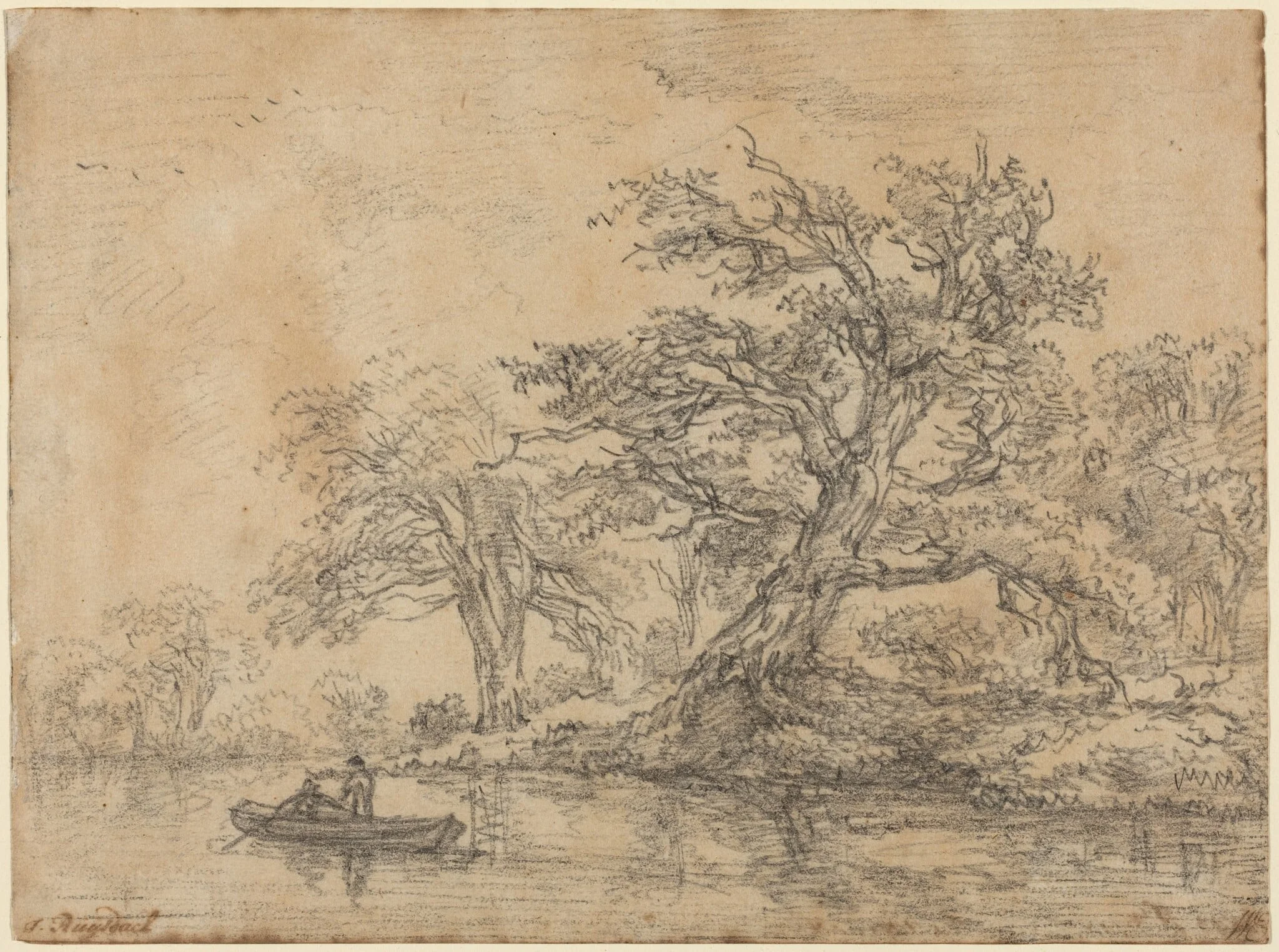 Old Trees along a Bank, by Jacob van Ruisdael, chalk, 1644