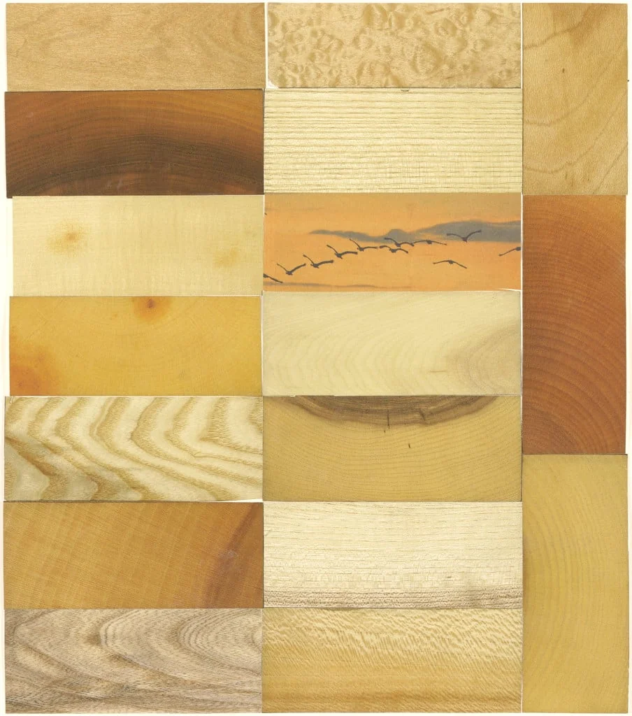 Untitled, by Friedrich Kunath, 2003