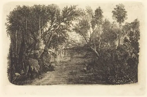 The Water's Course