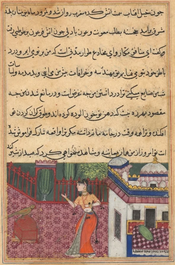 The parrot addresses Khujasta at the beginning of the thirty-third night, from a Tuti-nama (Tales of a Parrot)