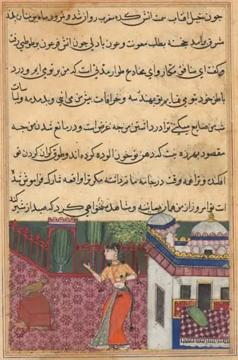 The parrot addresses Khujasta at the beginning of the thirty-third night, from a Tuti-nama (Tales of a Parrot)