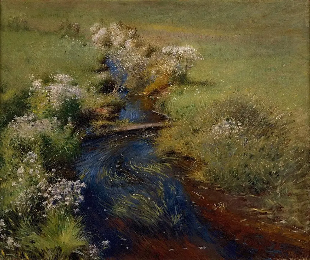 Wild Asters