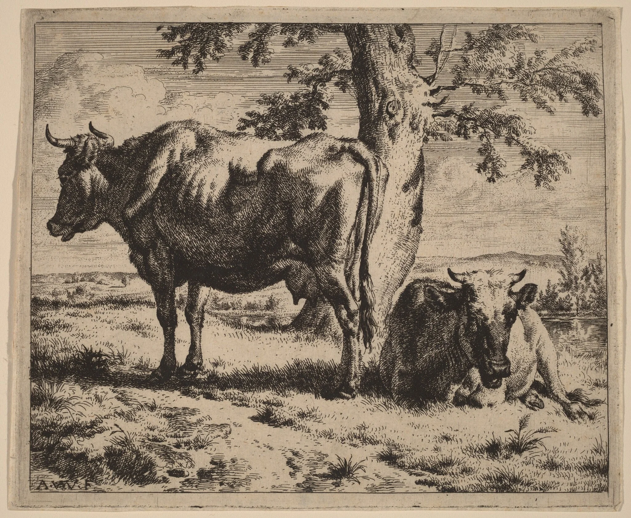 Two Cows under a Tree, by Adriaen van de Velde, ink, 1670