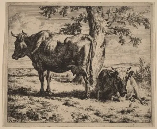 Two Cows under a Tree