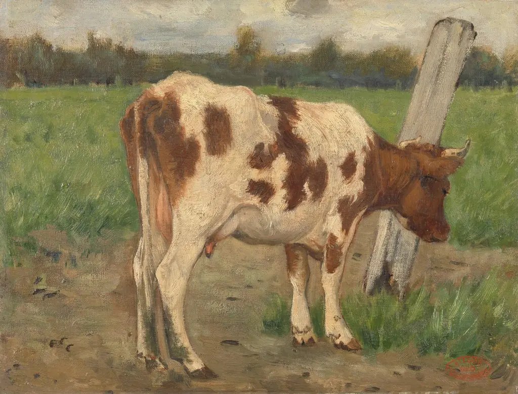 Cow