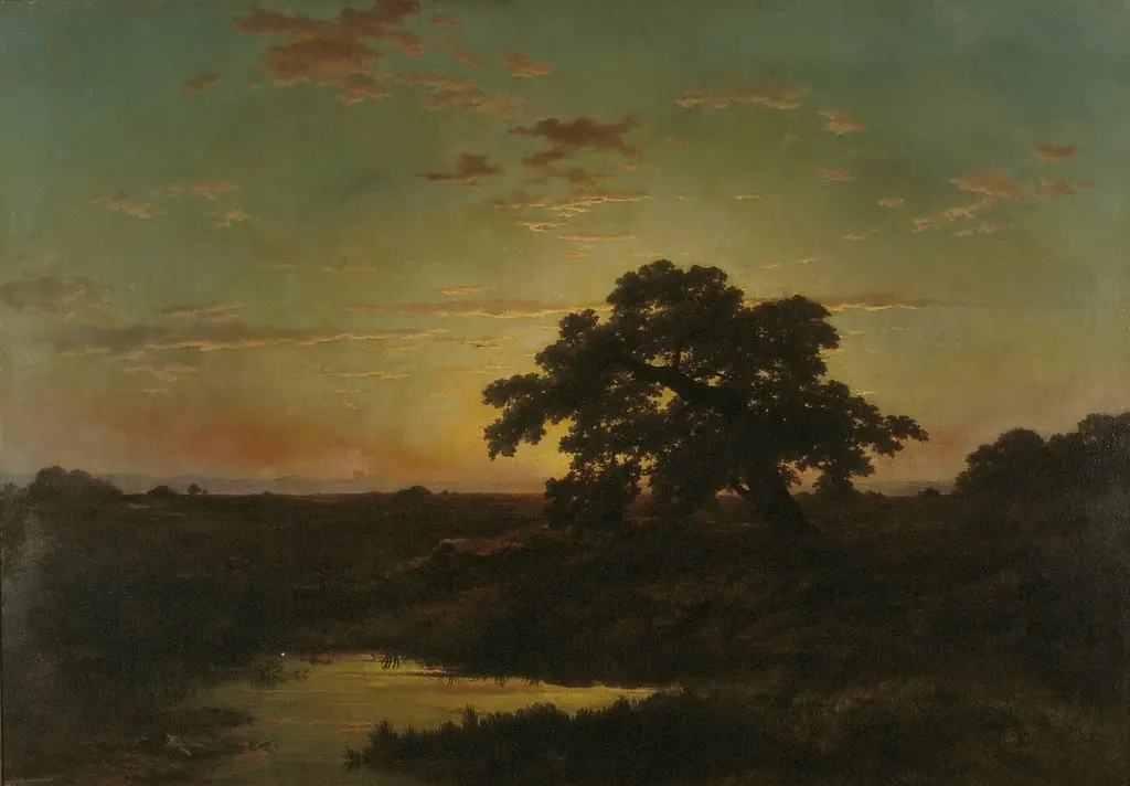 Heath Landscape at Sunset