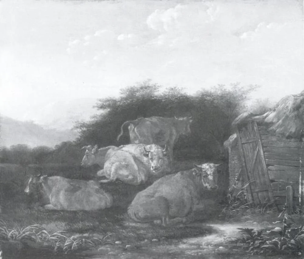 Cattle near a Barn