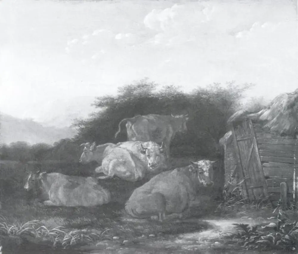 Cattle near a Barn