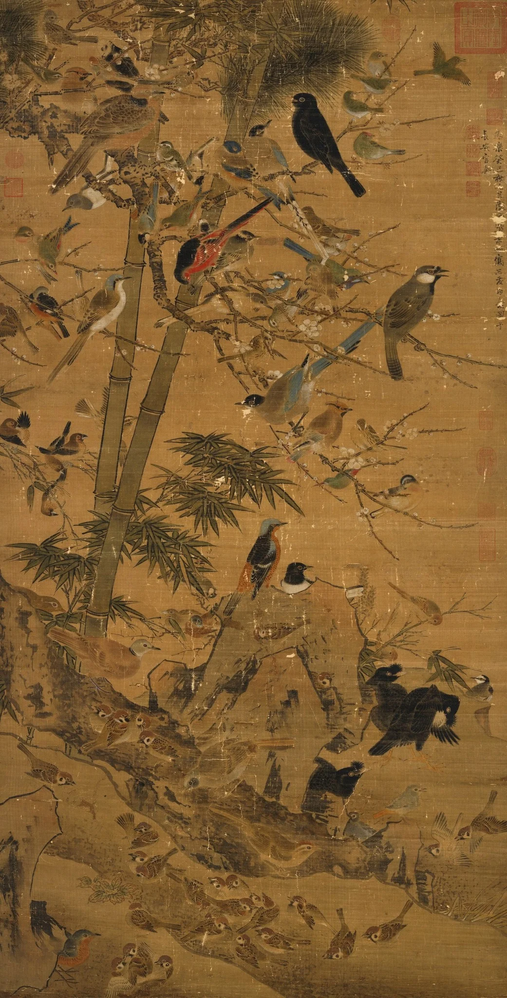 The "Three Friends" and a Hundred Birds