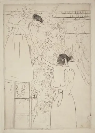 Gathering Fruit