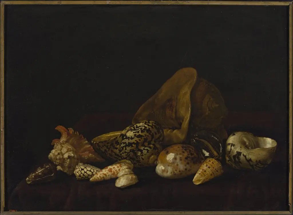 Seashells in a purple tapestry