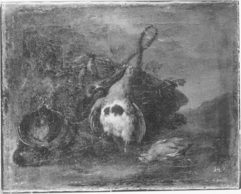 Q30094311