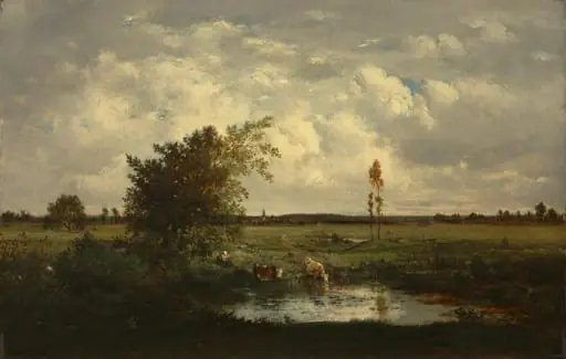 Sunlight