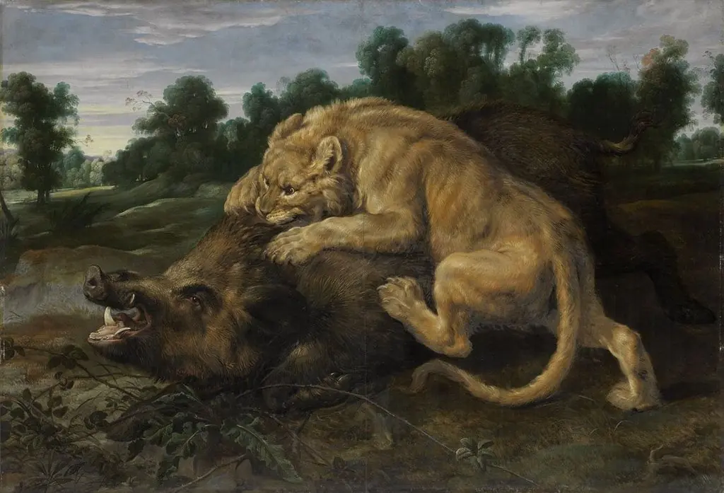 A lion killing a boar