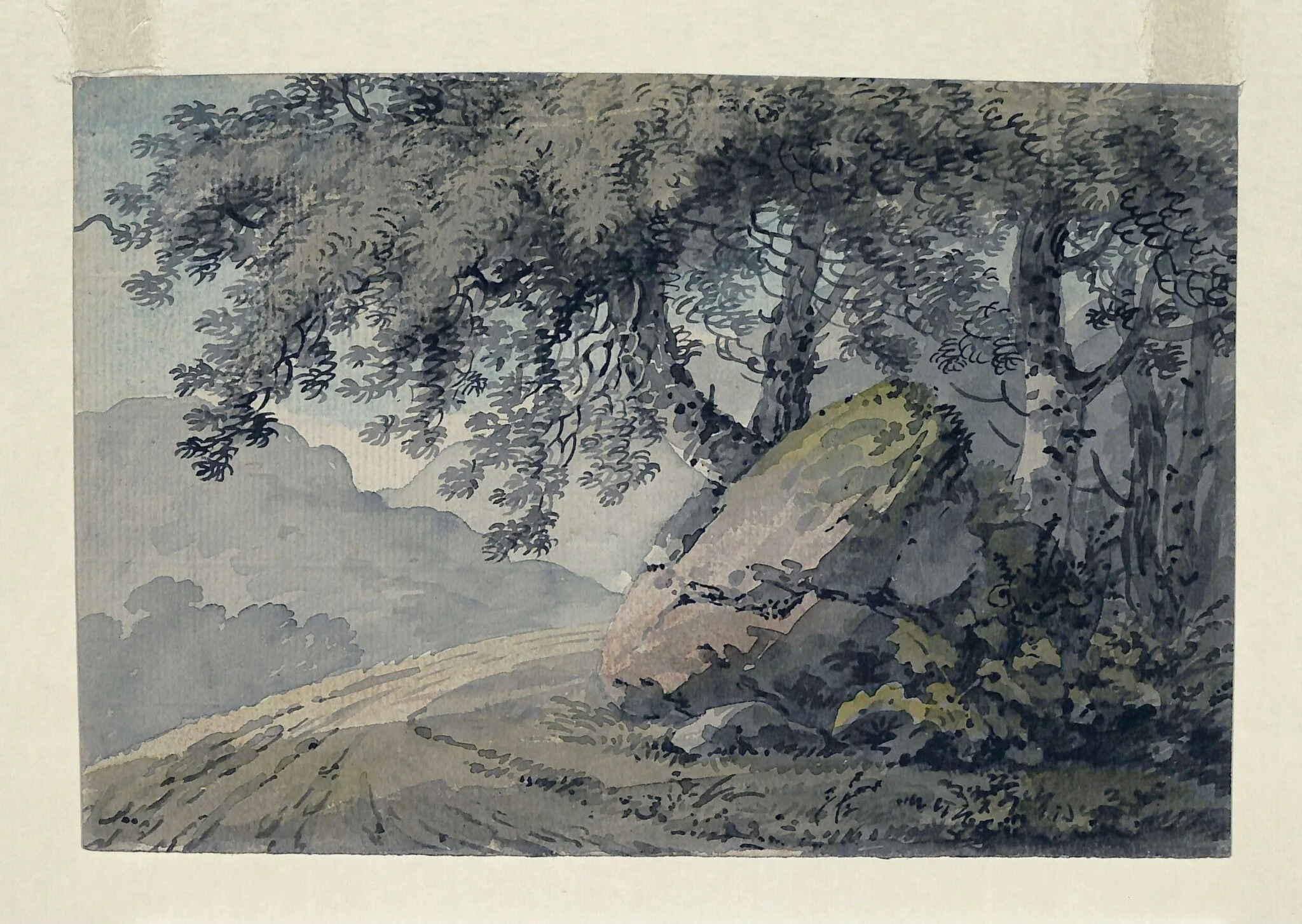 Mountain track with rock and trees