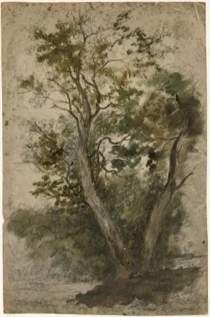 A Tree
