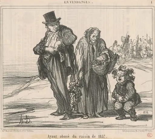 Ayant abusé du raisin de 1857