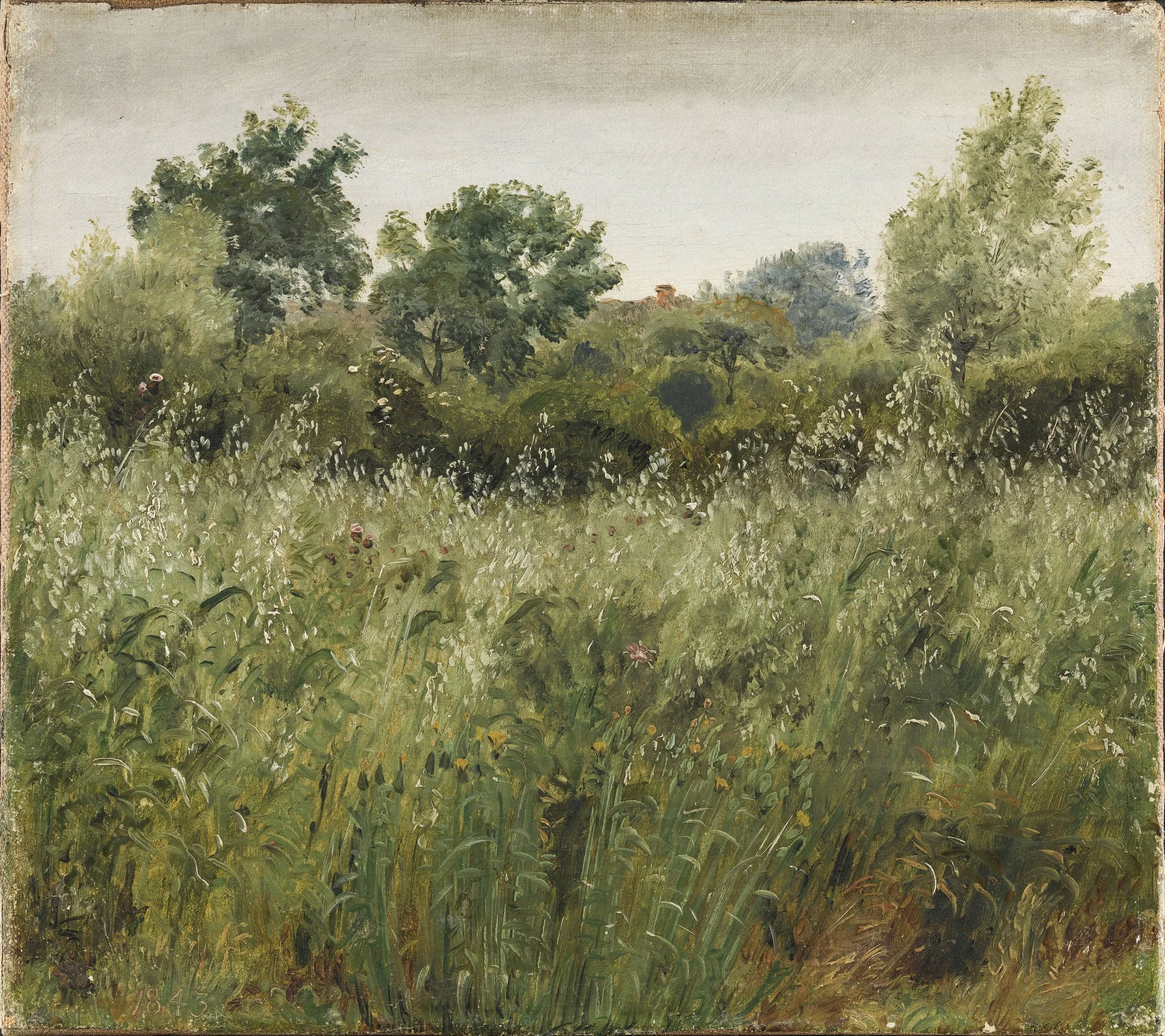 Field of Oats near Vejby