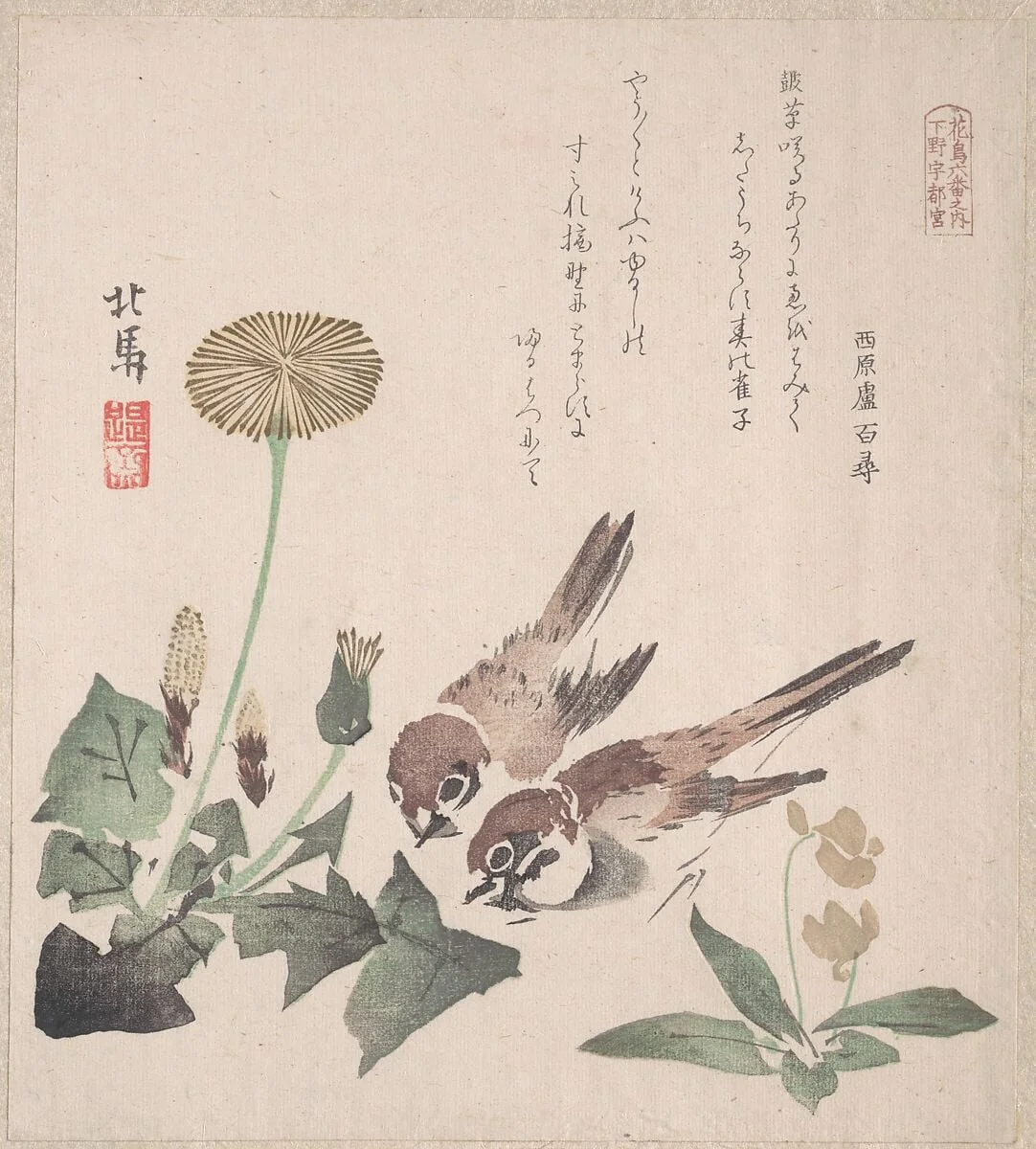 摺物帖　『春雨集』　『花鳥六番之内　下野宇都宮』　タンポポに雀|Spring Rain Collection (Harusame shū), vol. 3: Sparrows and Dandelions, by Teisai Hokuba, ink, 1820
