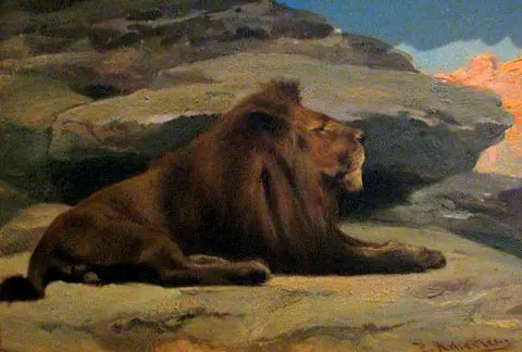 Lion