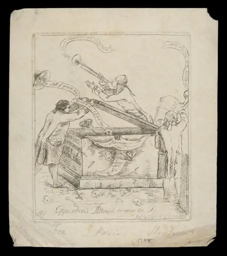 H Beard Print Collection
