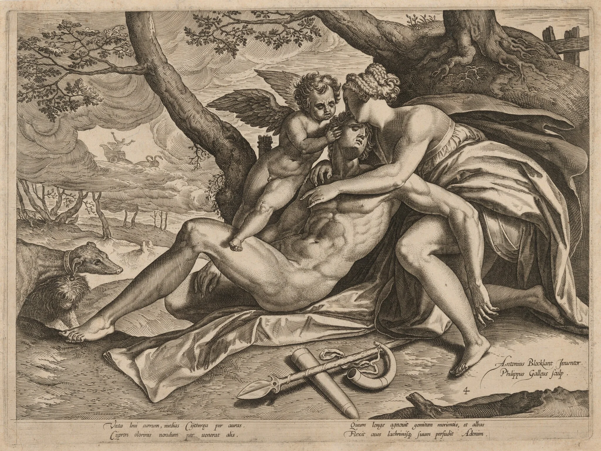 The Death of Adonis, by Philip Galle, ink, 1579