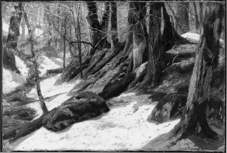 Wood Interior, by Marcus Waterman, oil, 1884