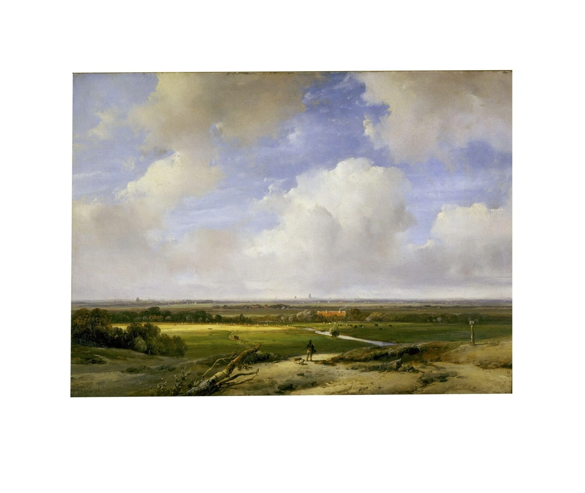 Landscape near Haarlem