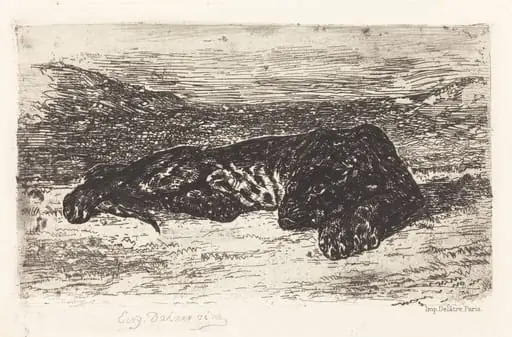 Tiger Sleeping in the Desert